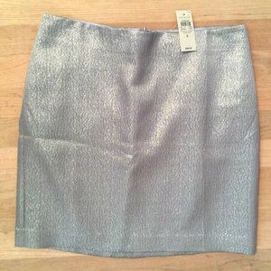 ANN TAYLOR Textured Silver Skirt chic Party/Cocktail